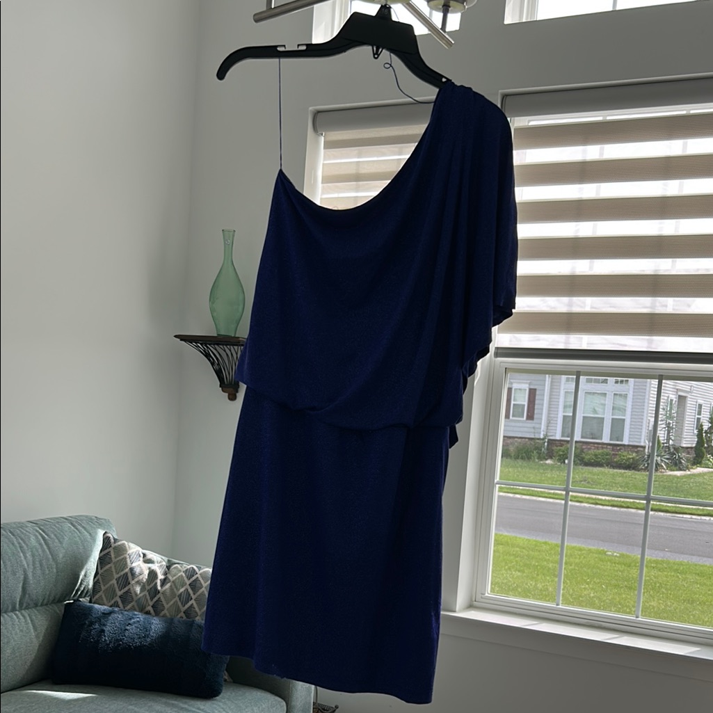 Scarlett Nite Blue One-Shoulder Dolman Sleeve Dress